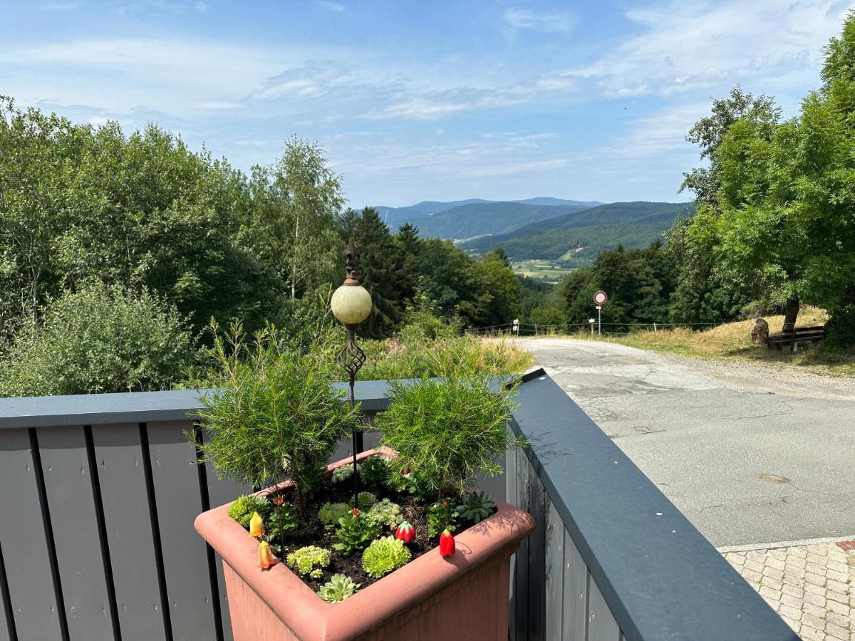 Modernes Top Apartment Mitten Im Bayerischen Wald + Wlan Kostenfrei Schöfweg Exteriér fotografie