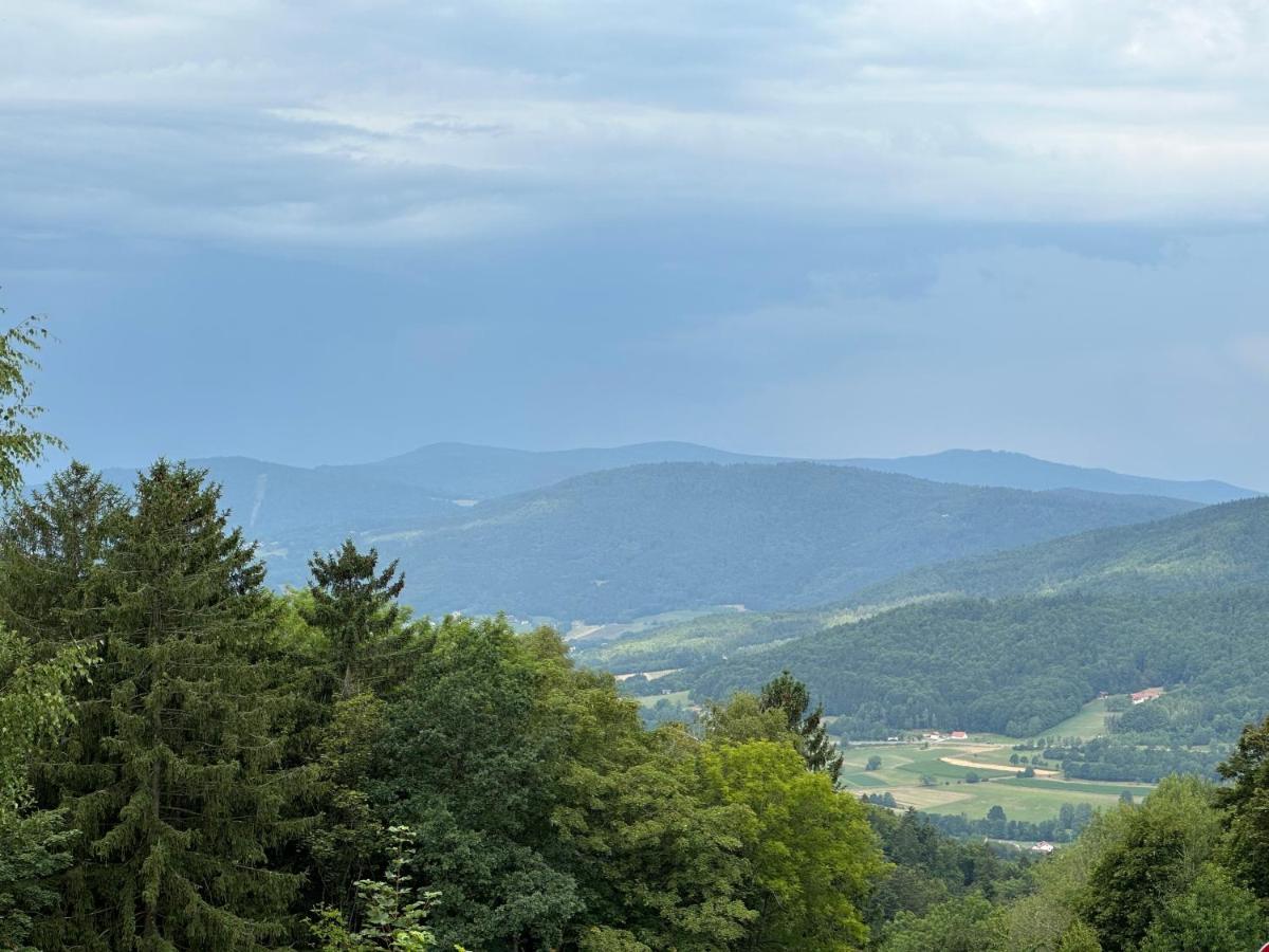 Modernes Top Apartment Mitten Im Bayerischen Wald + Wlan Kostenfrei Schöfweg Exteriér fotografie